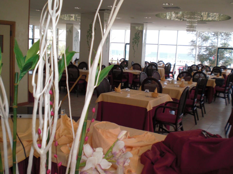 Hotel Regina Rimini Vacanze Rimini Urlaub  Hotel Regina