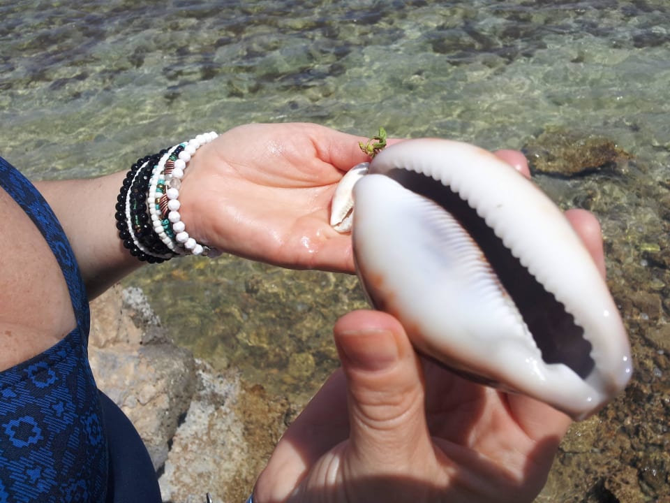 Muszla Three Corners Sea Beach Resort