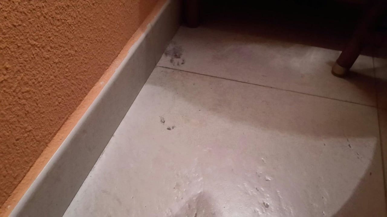 Top Reinigung La Palma Princess