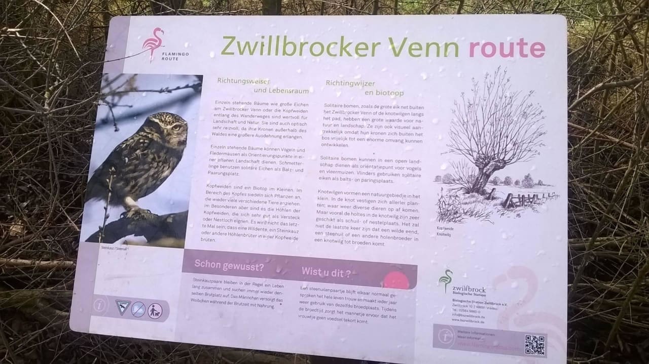Wandelroute Zwilbroek Hotel Kloppendiek