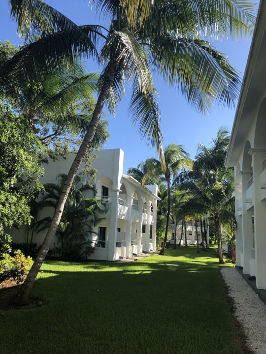 Zimmer Hotel Riu Tequila