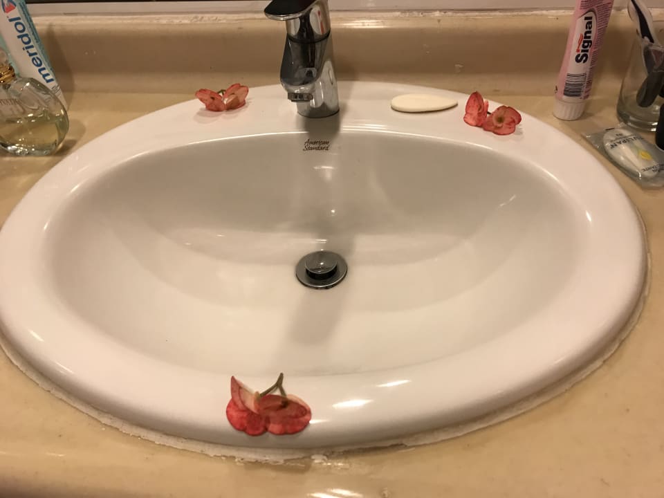 Zimmer Hotel Viva Dominicus Beach by Wyndham - All Inclusive Resort