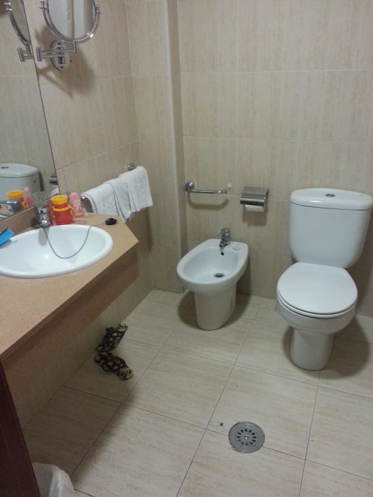 Łazienka htop Royal Star