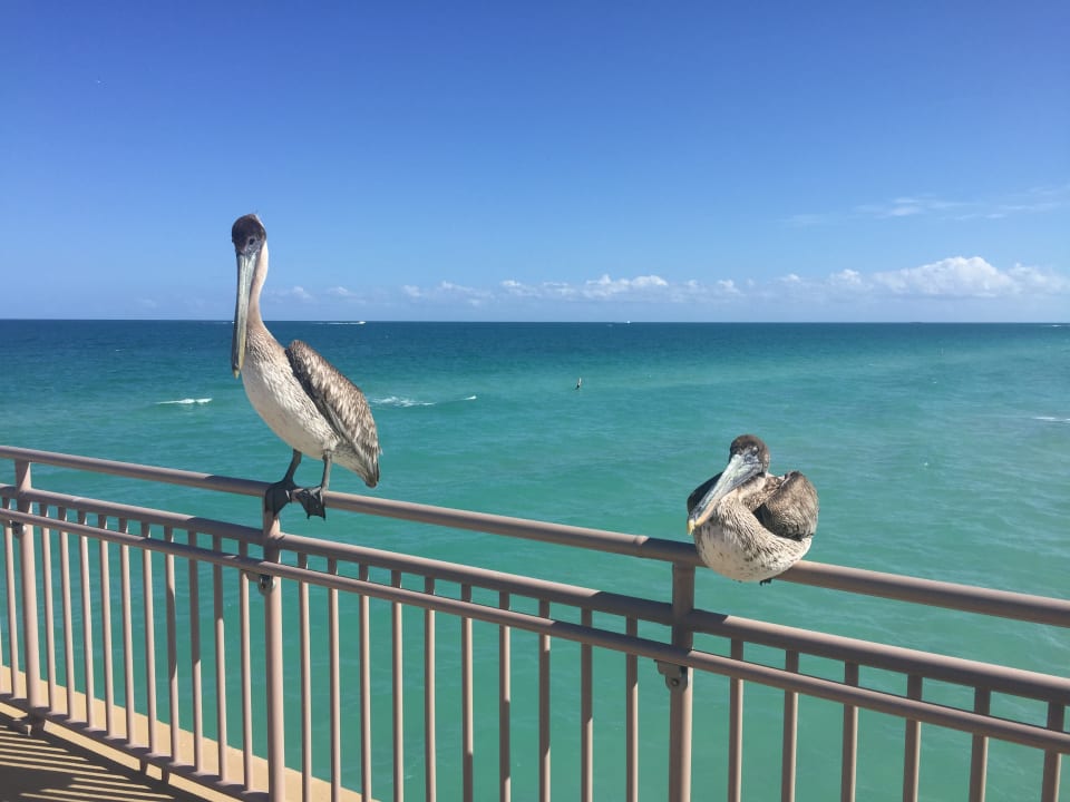 Strand Hotel Sole On The Ocean