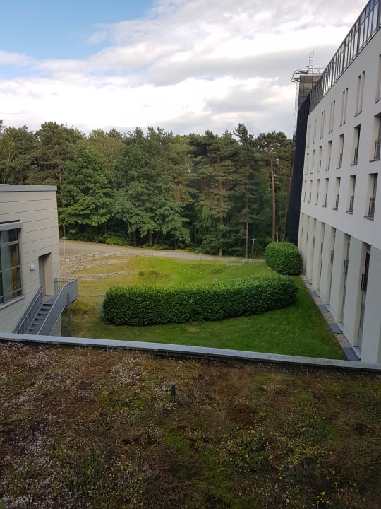 Ausblick Akademiehotel Dresden