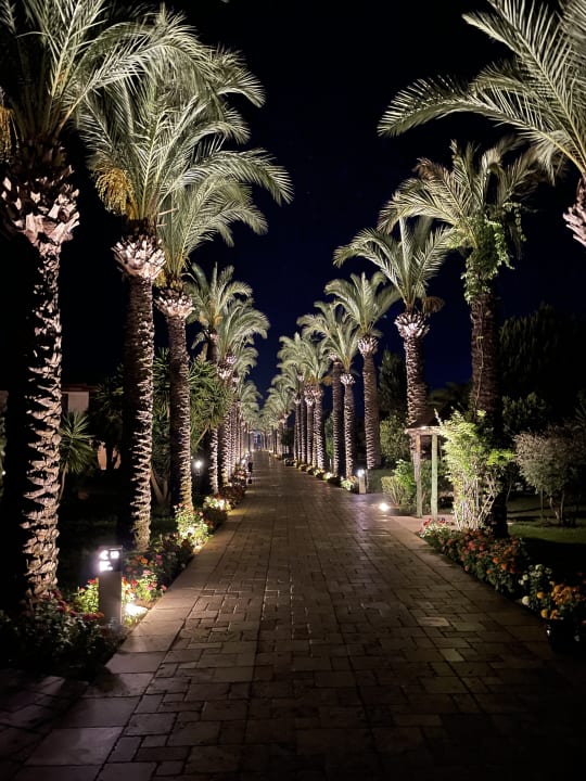 Gartenanlage TUI BLUE Palm Garden