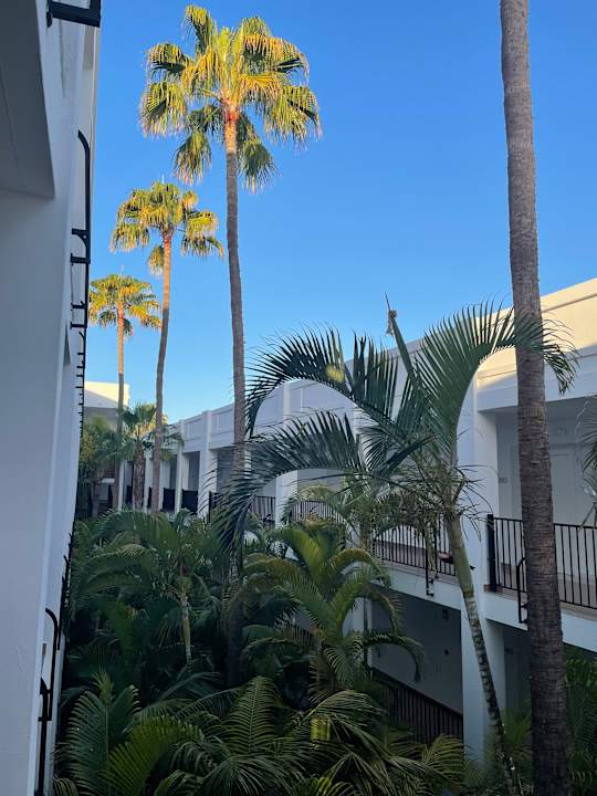 Zimmer Hotel Riu Palace Meloneras