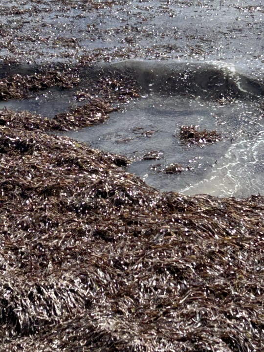 Außenansicht TUI BLUE Pioneer Beach