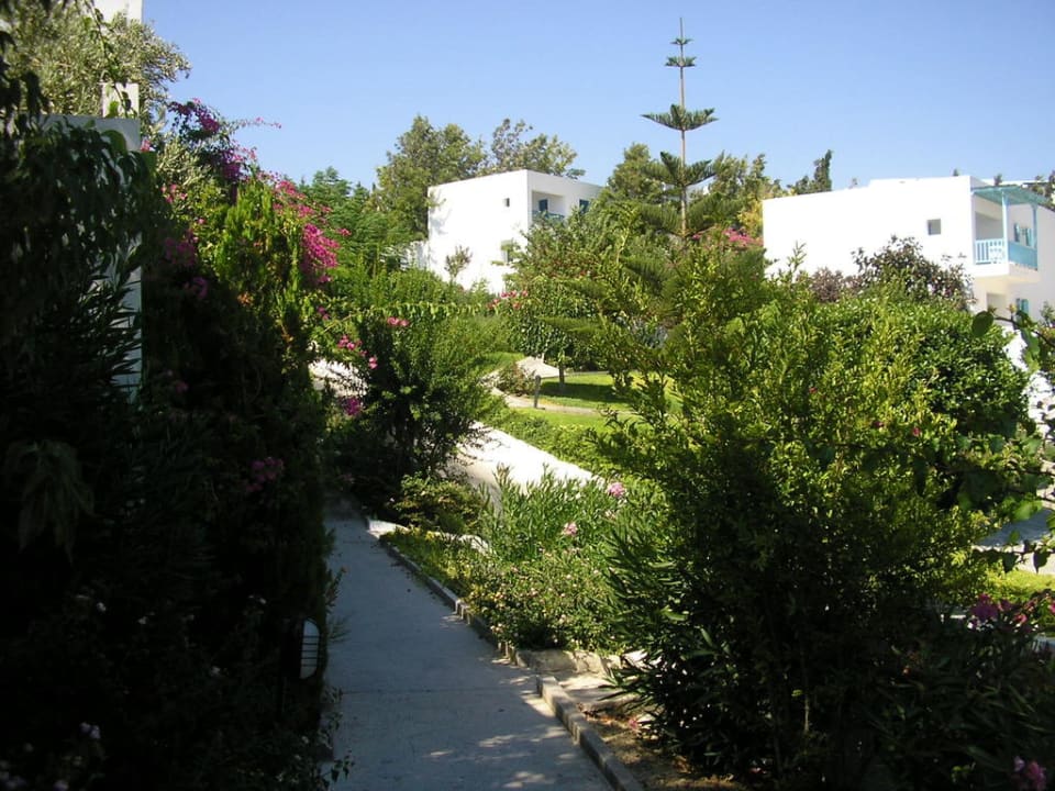 Daidalos ROBINSON DAIDALOS