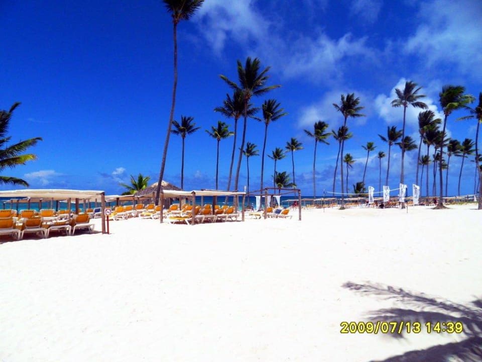 Buntes Strandleben Ocean Blue & Sand