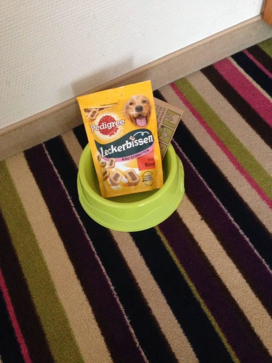 Empfang für unseren Hund. H+ Hotel Köln Hürth