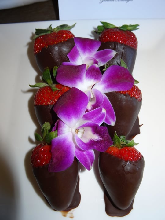 Wunderbare Überraschung Sonesta Resort Hilton Head Island