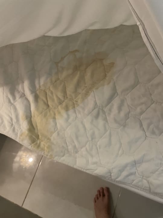 Zimmer The Grand Palace - Adults only