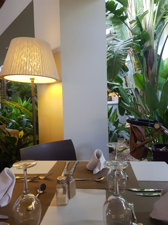 Gastro Prinsotel La Pineda