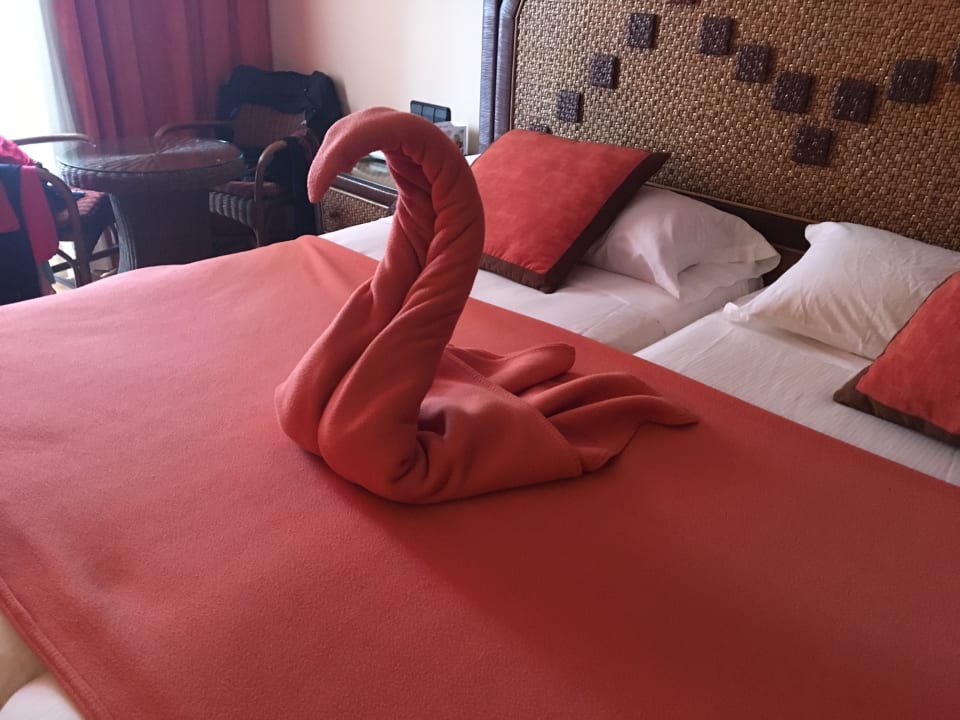 Zimmer Hotel Riu Touareg