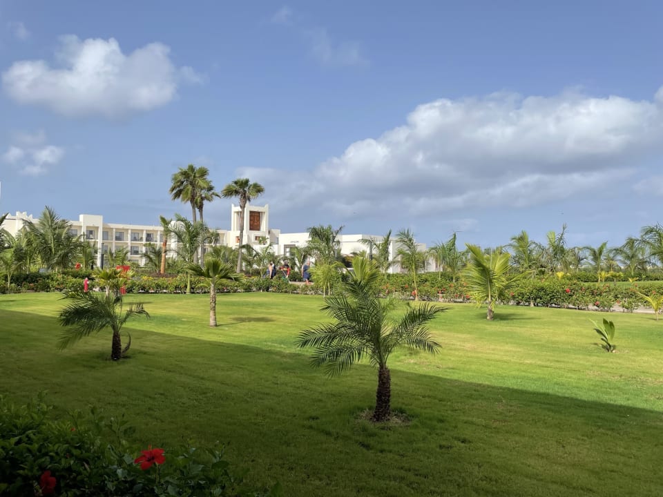 Gartenanlage Hotel Riu Palace Santa Maria
