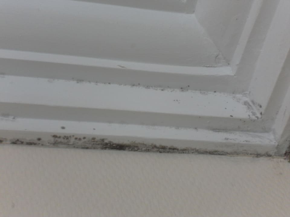 Schimmel Hane Family Resort