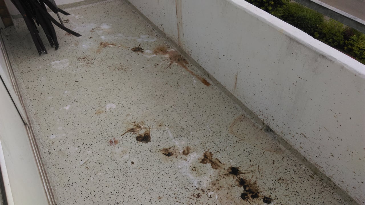 Zimmer Ferienwohnungen Ferienpark Weissenhäuser Strand