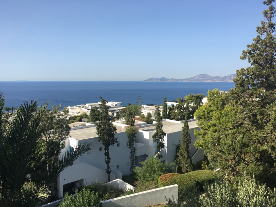 Ausblick ROBINSON DAIDALOS