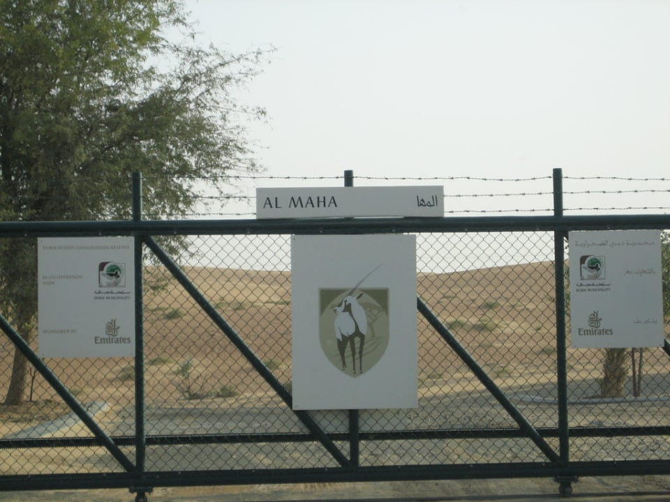 Einfahrt zum Resort Al Maha, A Luxury Collection Desert Resort & Spa