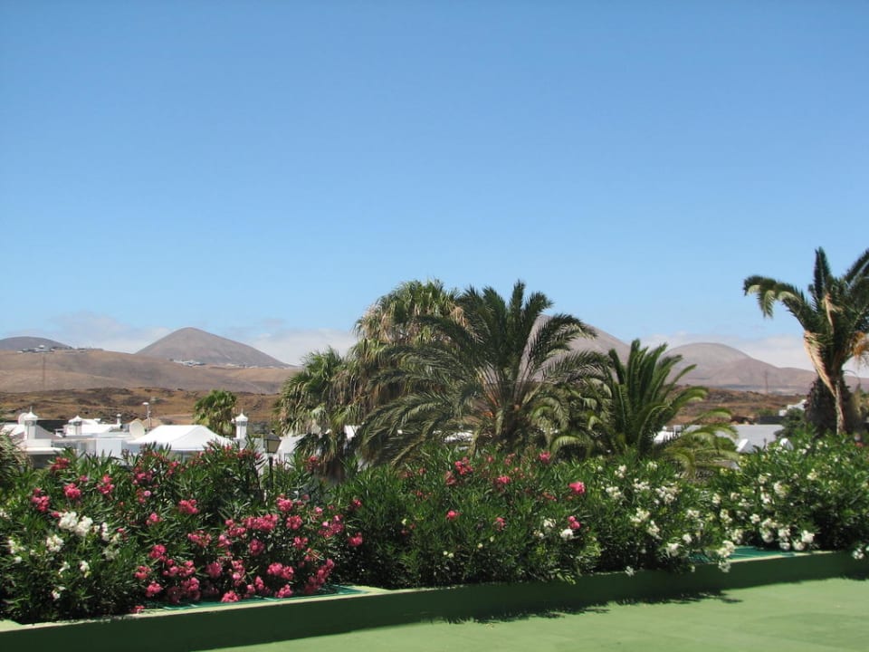 Blick zur Landseite Hotel Riu Paraiso Lanzarote