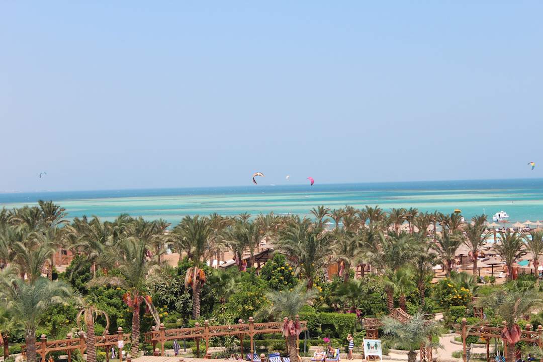 Вид с номер (4 этаж) Le Jardin Aqua Park Resort