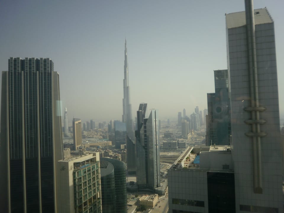 Ausblick Rose Rayhaan by Rotana