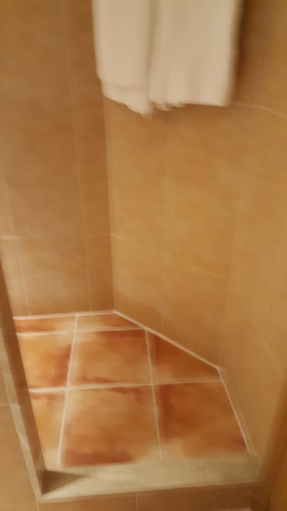 Dusche Prinsotel La Pineda