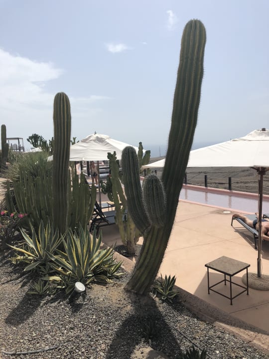 Sonstiges Salobre Hotel Resort & Serenity