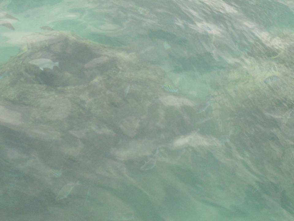 Strand Hotel Viva Dominicus Beach by Wyndham - All Inclusive Resort