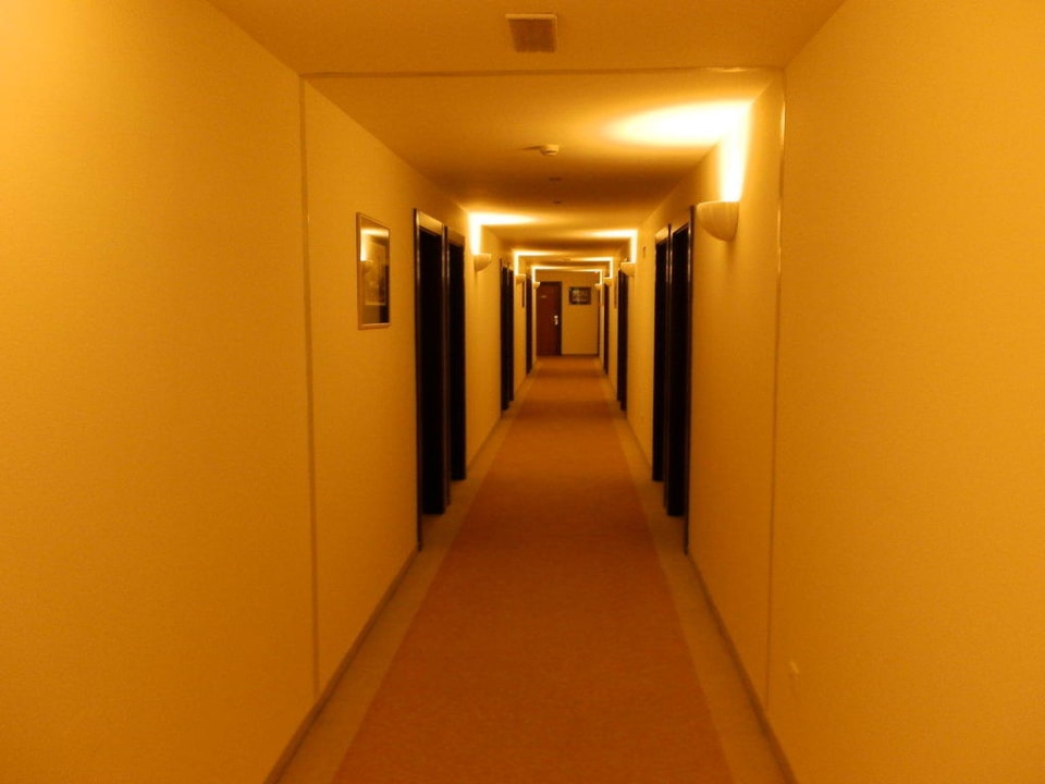 Hol Iberostar Waves Bellevue