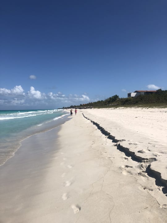 Strand Starfish Cuatro Palmas