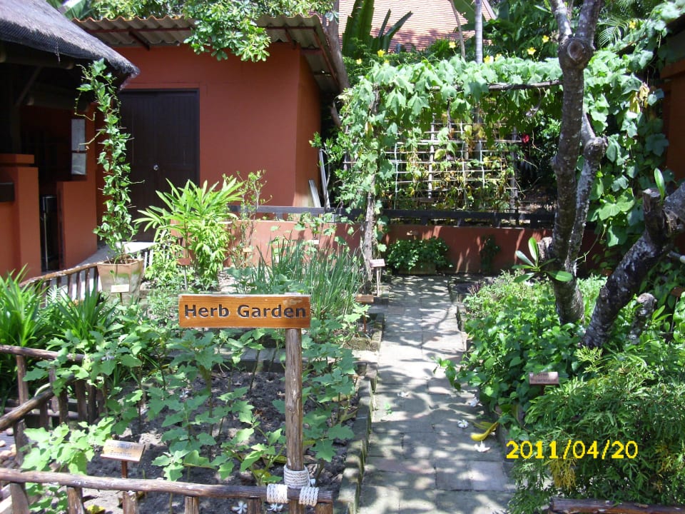 Kräutergarten Renaissance Koh Samui Resort & Spa