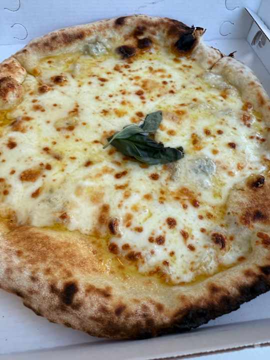 Gastro Club del Sole Marina Family Resort