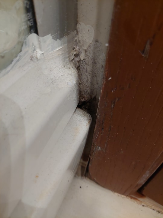 Zimmer Asteria Family Belek