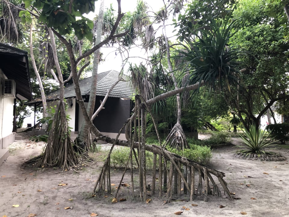 Gartenanlage Adaaran Select Meedhupparu Island Resort - Premium All Inclusive