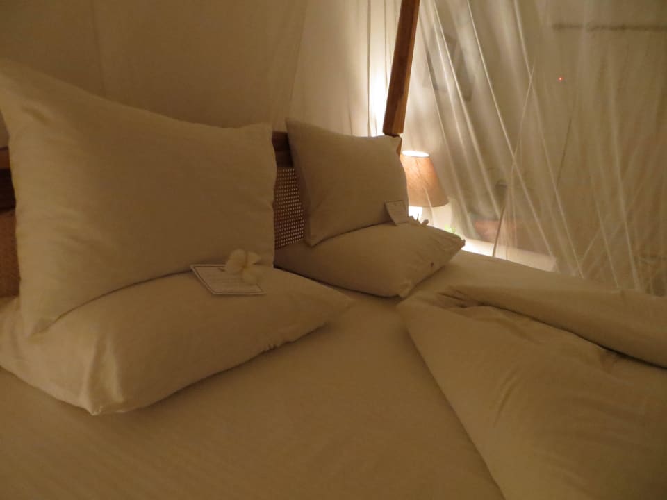 Gute-Nacht-Gruß Ocean Village Club