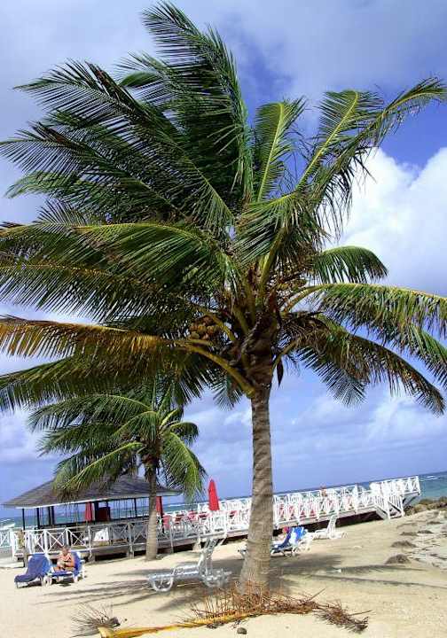 Postkartenmotiv Grand Muthu Club Caribbean Runaway Bay