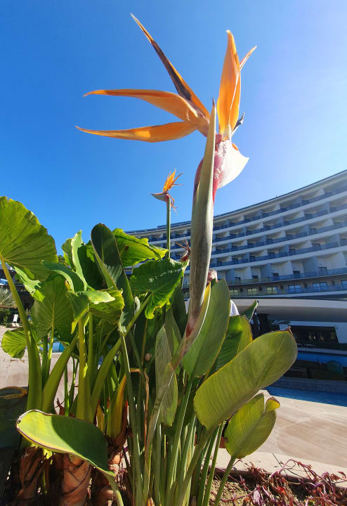 Gartenanlage Seaden Quality Resort & Spa