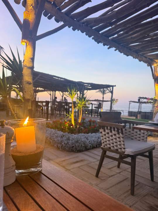 Gastro Steigenberger Resort Alaya Marsa Alam - Red Sea - Adults only