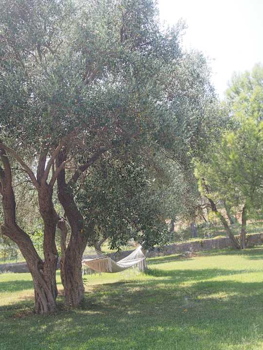 Hängematte X Life Hotel Sarıgerme