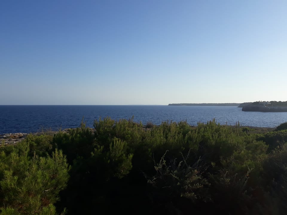 Ausblick Calimera Fido Gardens