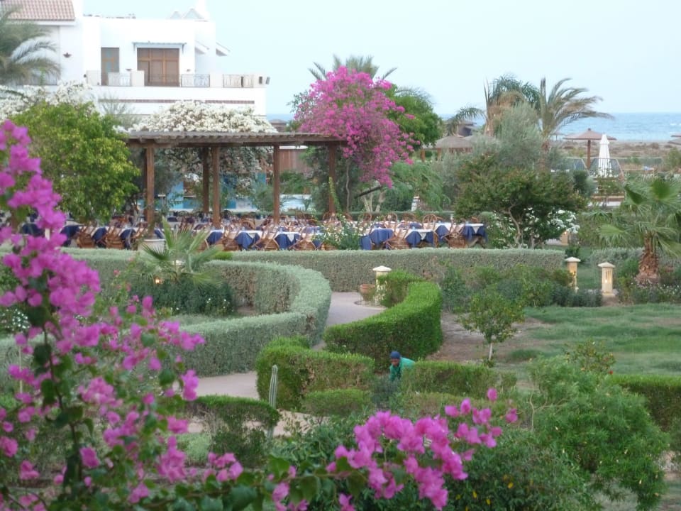 Essen im Freien Lahami Bay Beach Resort