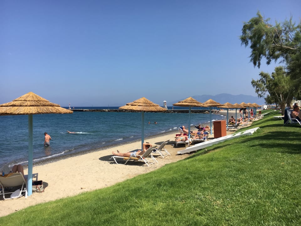 so eine gepflegte Strandanlage findet man nicht so oft. TUI BLUE Oceanis Beach and Spa Resort