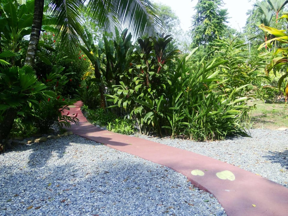 Garden Phidjie Lodge