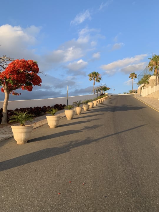 Außenansicht Hotel Riu Vistamar