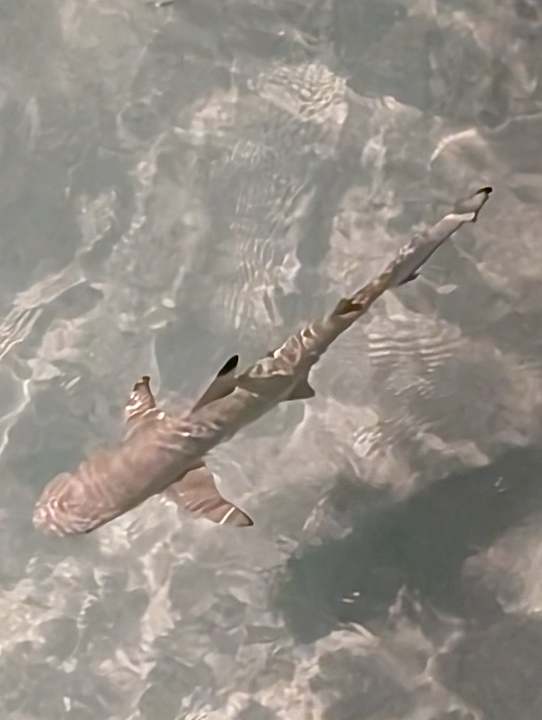 Sonstiges Adaaran Select Meedhupparu Island Resort - Premium All Inclusive