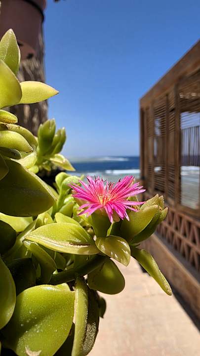 Außenansicht Mövenpick Resort El Quseir