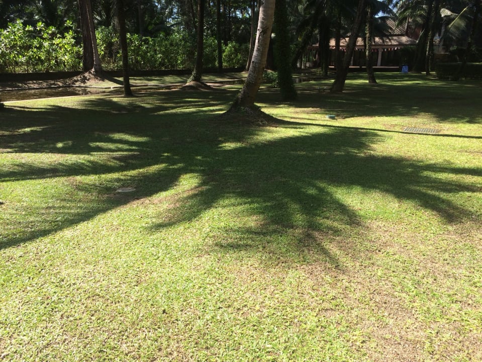 Gartenanlage The Grand Southsea Khaolak Beach Resort