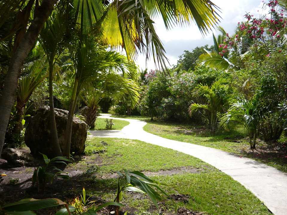 Gartenanlage Hotel Coconut Beach Club